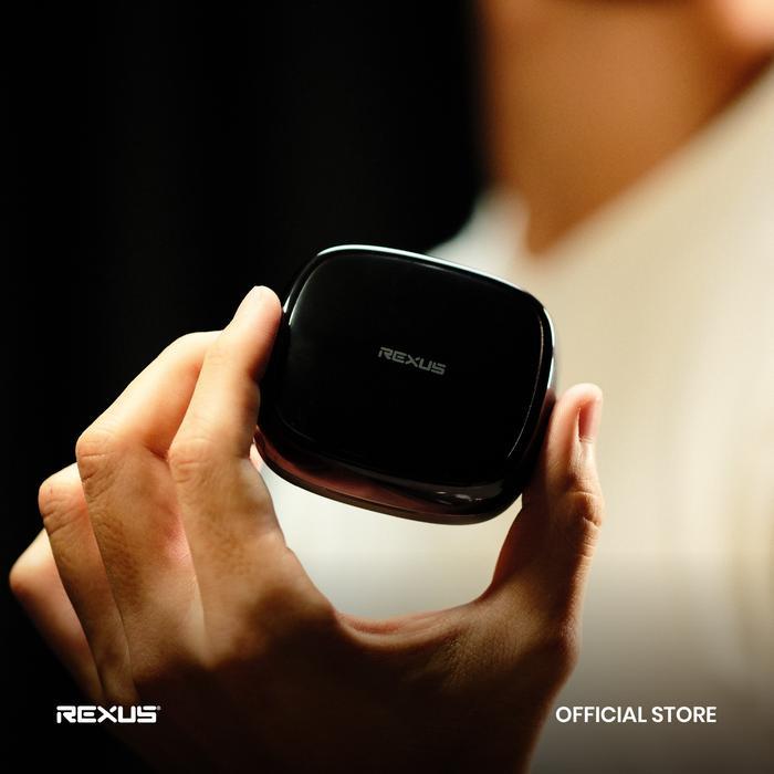 Rexus Sonette NA-30