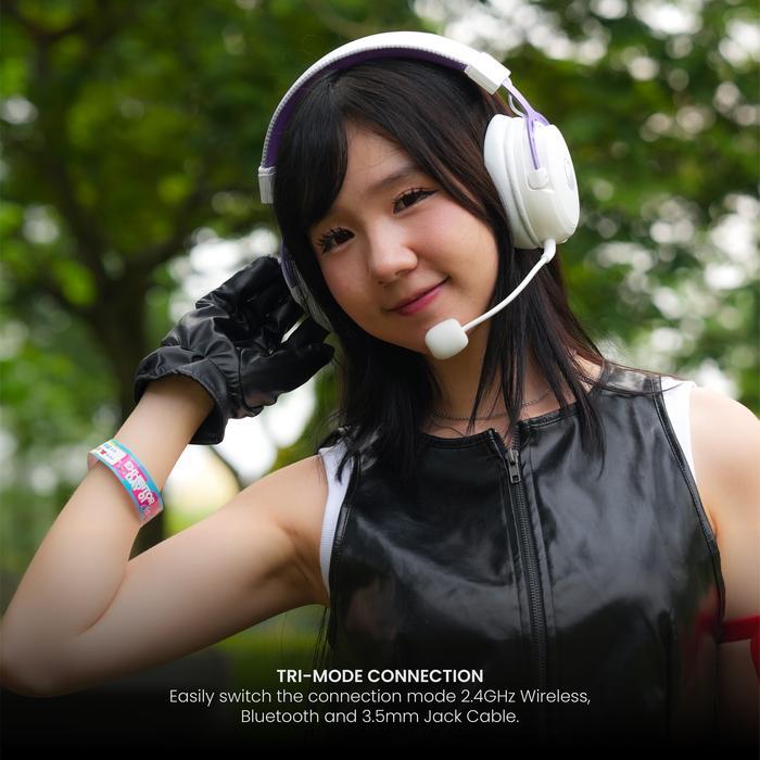 Sades Ryunix Hibiki HX-2