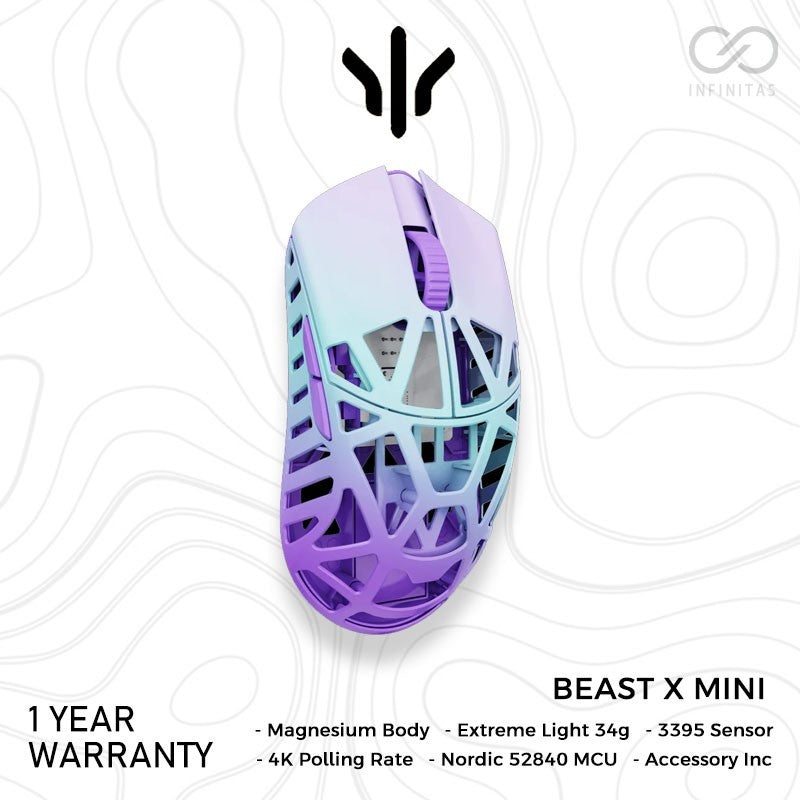 WL Mouse Beast X Mini Magnesium