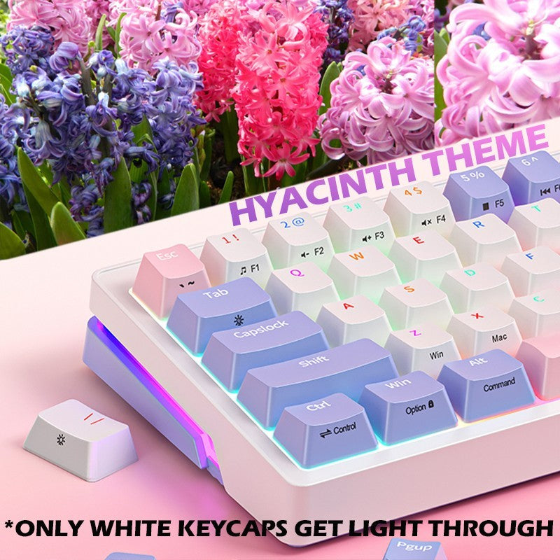 Mechanical Keyboard